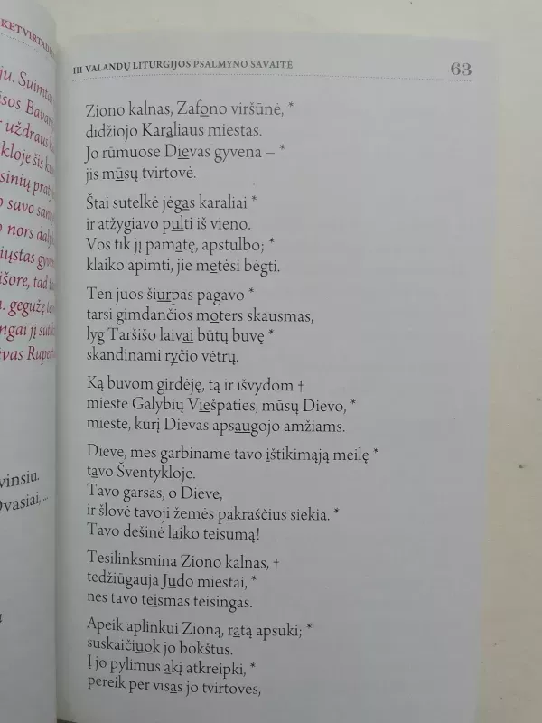 Magnificat. Kasdieniai skaitymai. 2016 lapkritis - Autorių Kolektyvas, knyga 5