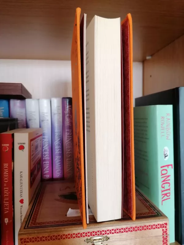 Puikybė ir prietarai (Pegaso kolekcijos 2 knyga) - Jane Austen, knyga 3