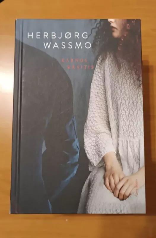 Dinos knyga - Herbjørg Wassmo, knyga 6