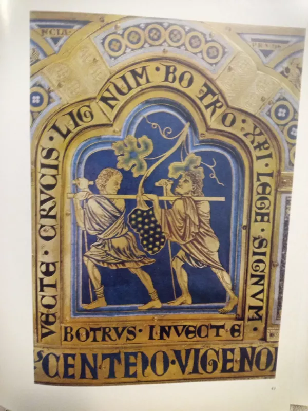 Vyno ir vynuogininkystės žinynas - Rudolf Weinbold, knyga 6