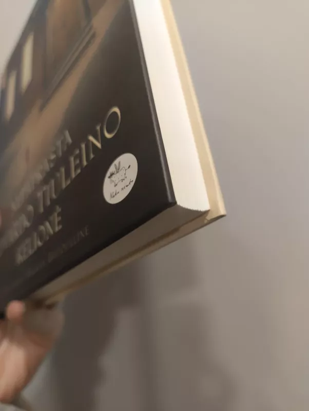 Nepaprasta Edvardo Tiuleino kelionė - Kate DiCamillo, knyga 4