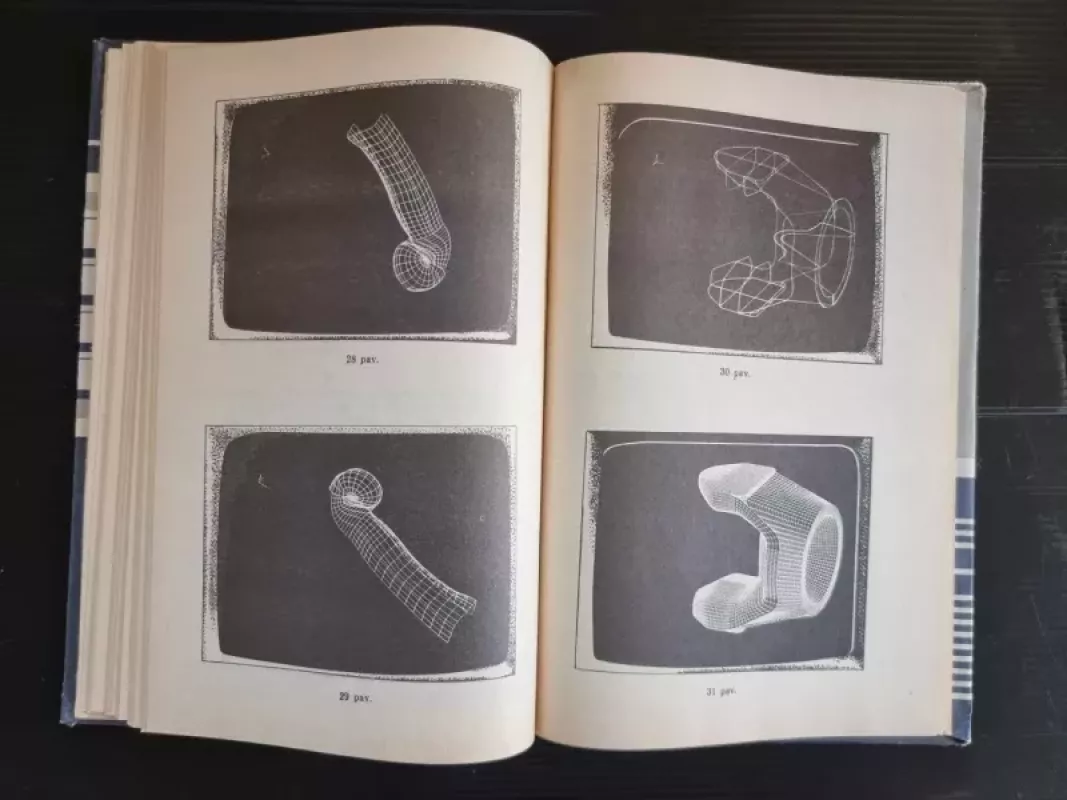 Informatikos ir skaičiavimo technikos pagrindai II dalis - A. Jeršovas, V.  Monachovas, knyga 4