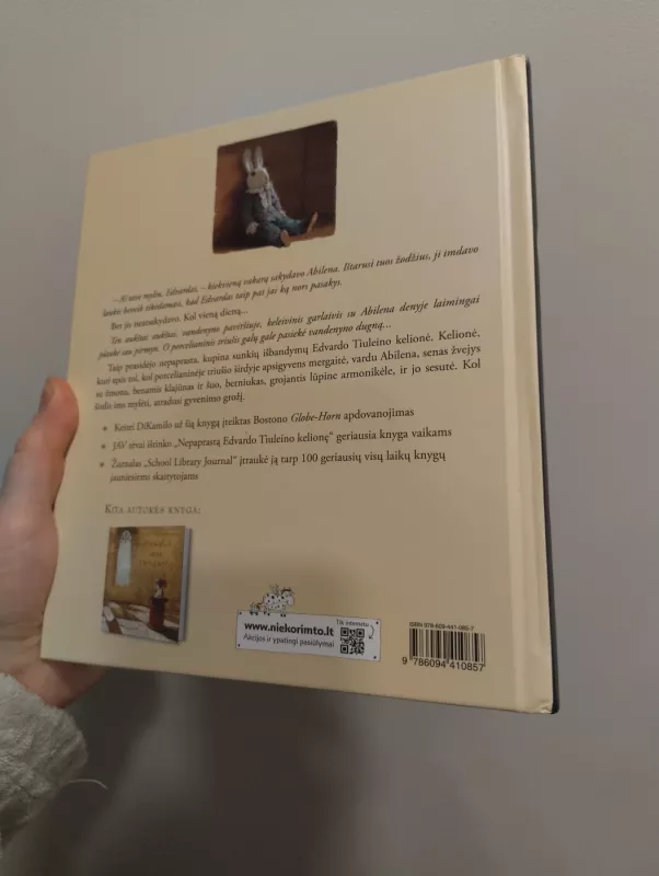 Nepaprasta Edvardo Tiuleino kelionė - Kate DiCamillo, knyga 3