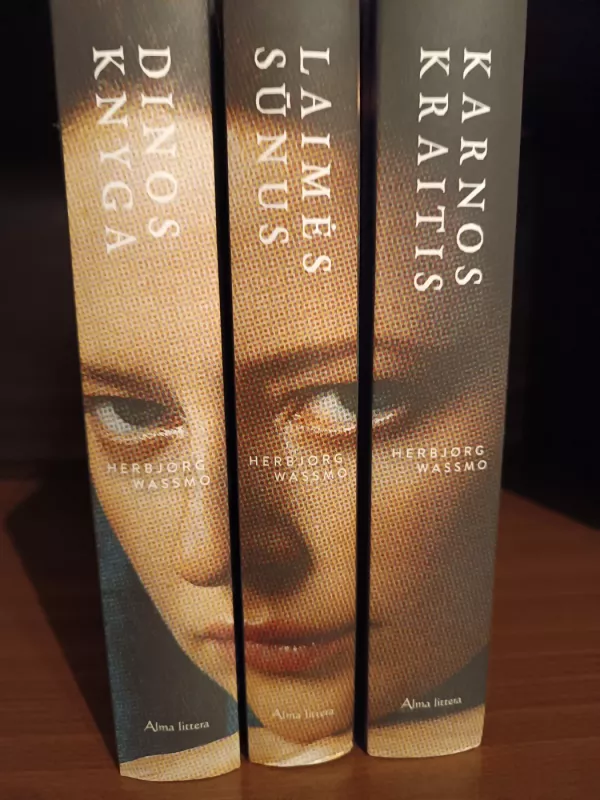 Dinos knyga - Herbjørg Wassmo, knyga 2