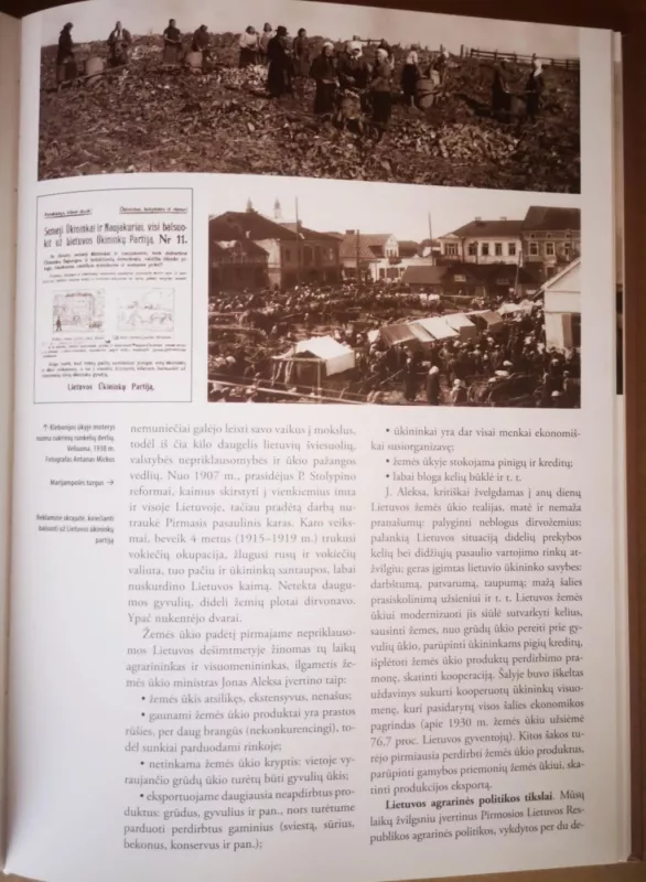 Tarpukario Lietuva - Autorių Kolektyvas, knyga 3