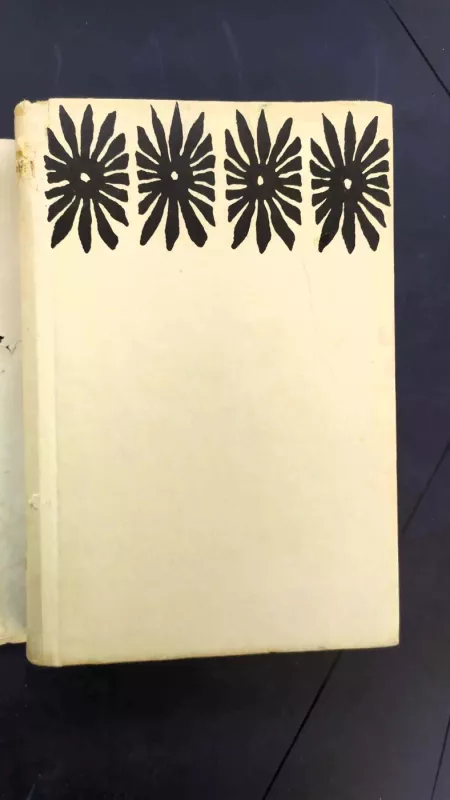 Fiesta - Ernestas Hemingvėjus, knyga 3