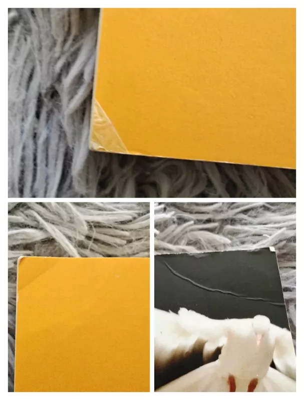 Ir tada bus geriau... - Piličiauskaitė-Navickienė Lolita, knyga 4