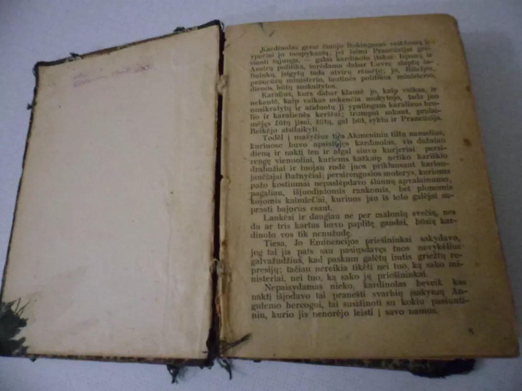 Grapas Montekristas - Aleksandras Diuma, knyga 6