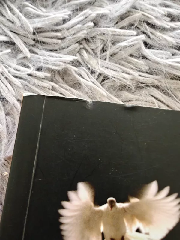 Ir tada bus geriau... - Piličiauskaitė-Navickienė Lolita, knyga 3