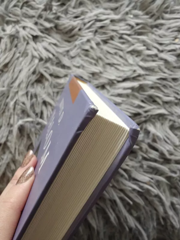 Gydymas Šopenhaueriu - Irvin D. Yalom, knyga 3