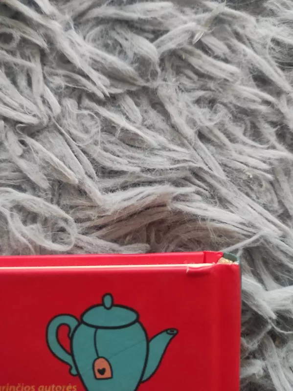 Myliu ir mamą, ir tėtį. Knyga tėvams, išgyvenantiems skyrybas. - Jolanta Sondaitė, knyga 3