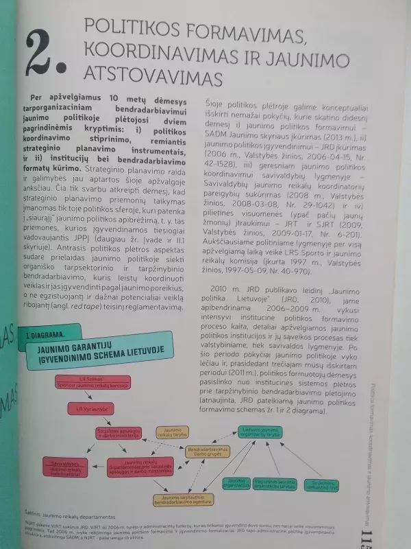 2005-2014 m. jaunimo ir jaunio politikos apžvalga - Mantas Bileišis, knyga 6