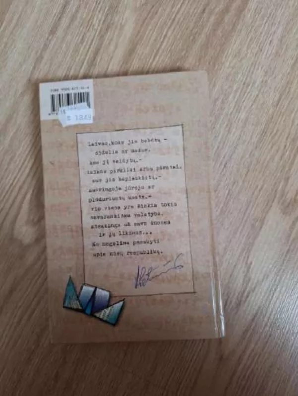 Durnių laivas - Vytautas Petkevičius, knyga 3