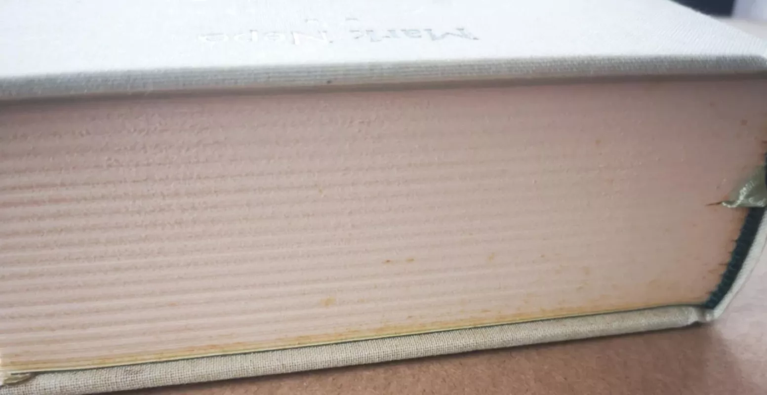 Pabudimo knyga - Mark Nepo, knyga 3