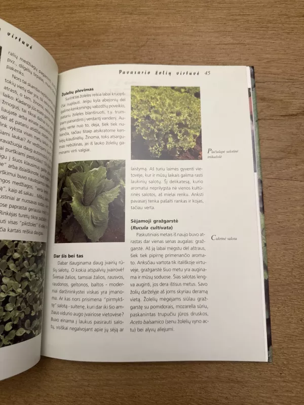 Žiniuonės užrašai - Gabrielė Bickel, knyga 5