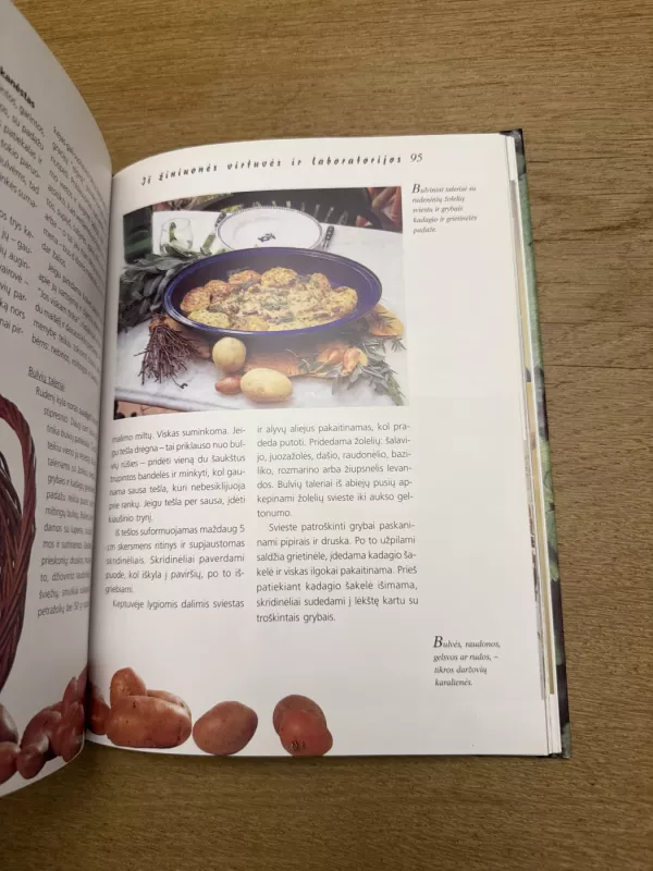 Žiniuonės užrašai - Gabrielė Bickel, knyga 6