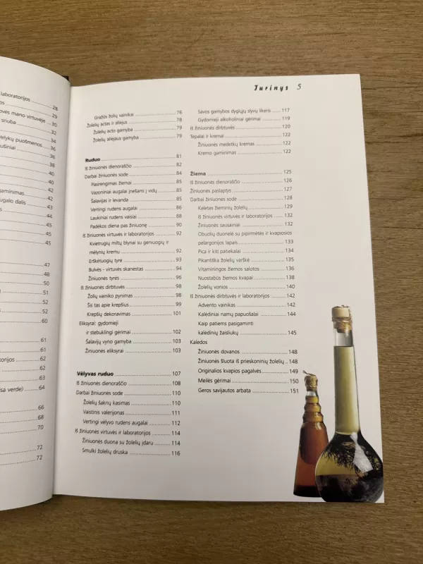 Žiniuonės užrašai - Gabrielė Bickel, knyga 4