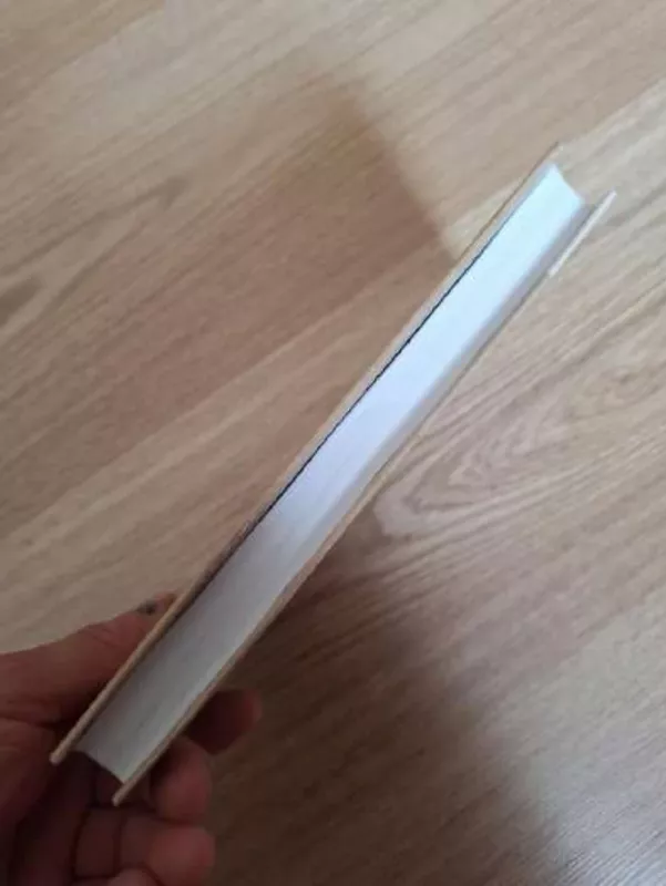 Durnių laivas - Vytautas Petkevičius, knyga 4