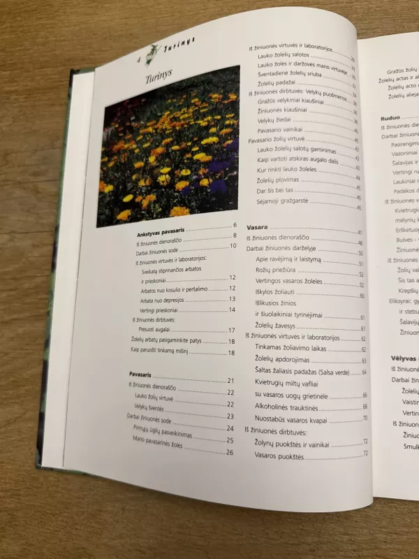 Žiniuonės užrašai - Gabrielė Bickel, knyga 3