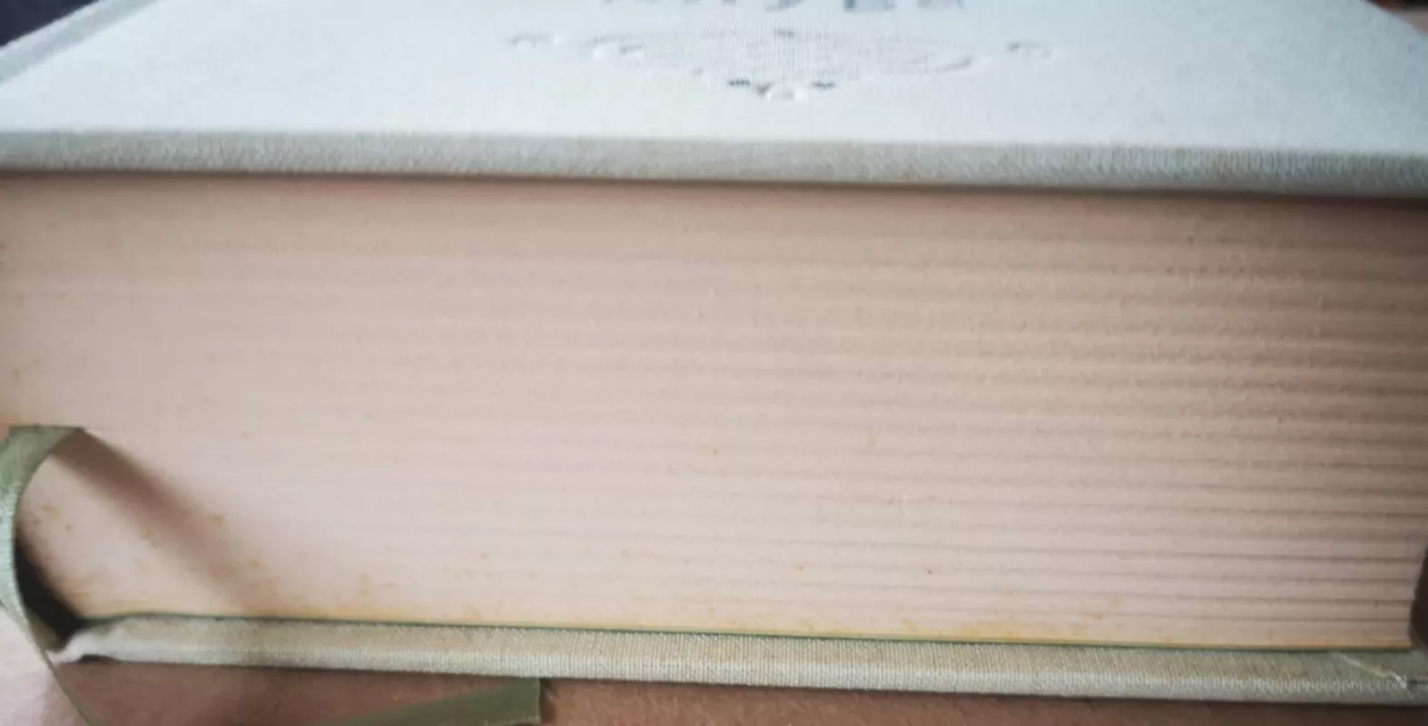 Pabudimo knyga - Mark Nepo, knyga 4