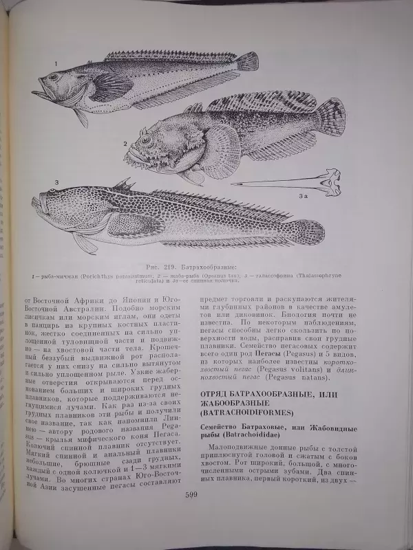Жизнь животных. В 6 томах. Том 4. Часть 1. Рыбы - Т.С Расс, knyga 5