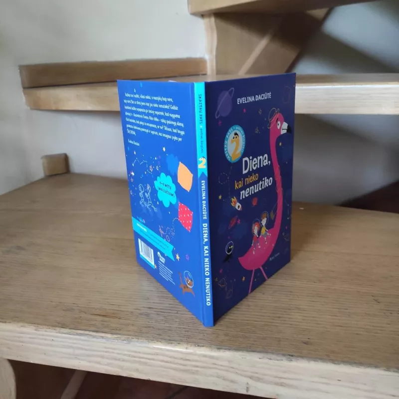 Diena, kai nieko nenutiko - Evelina Daciūtė, knyga 5