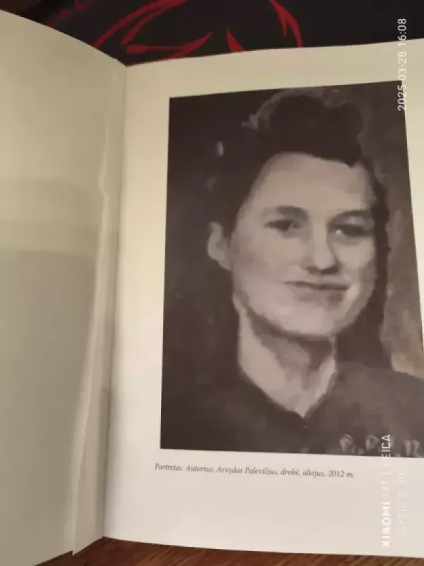 Žvaigždė šviečianti Lietuvos padangėje - Vytautas Šiaudytis, knyga 4