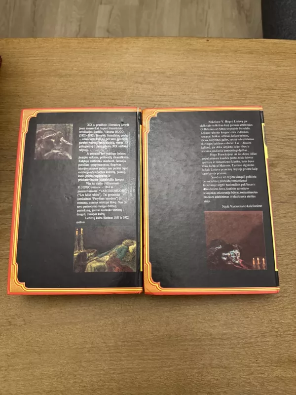 Vargdieniai I-II dalis - Viktoras Hugo I-II dalis, knyga 6