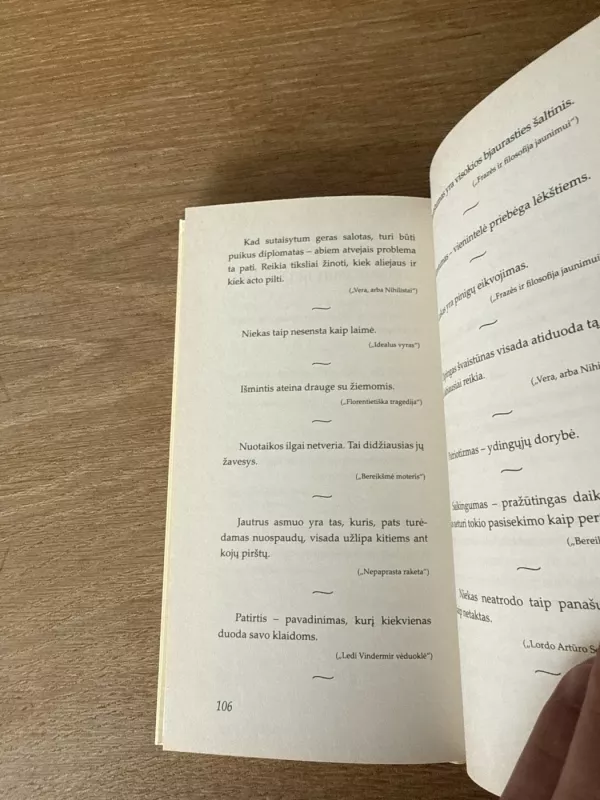 Oscaro Wilde'o sąmojis - McCann Sean, knyga 6