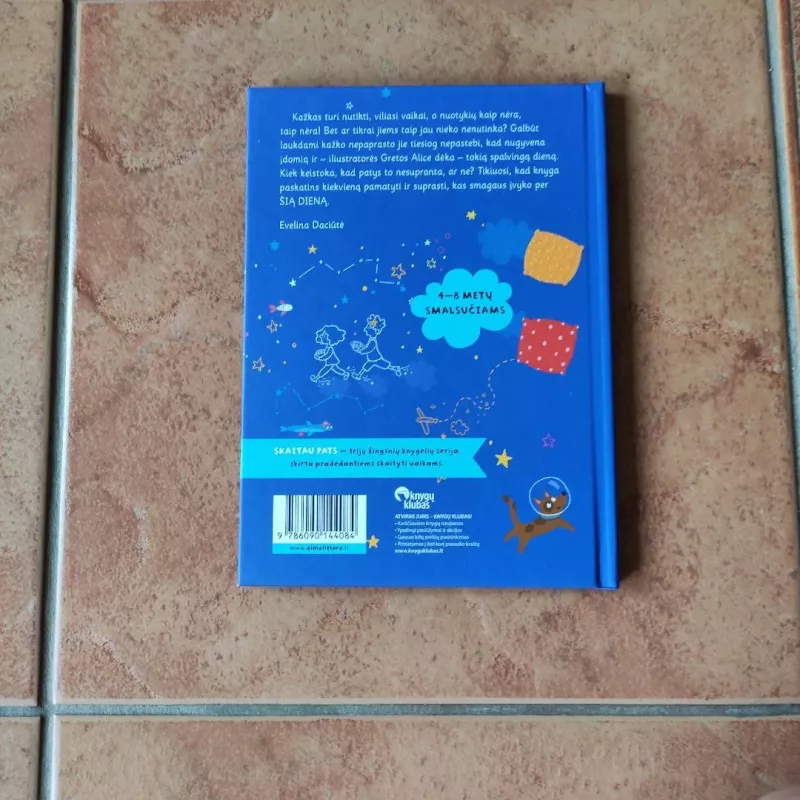 Diena, kai nieko nenutiko - Evelina Daciūtė, knyga 3