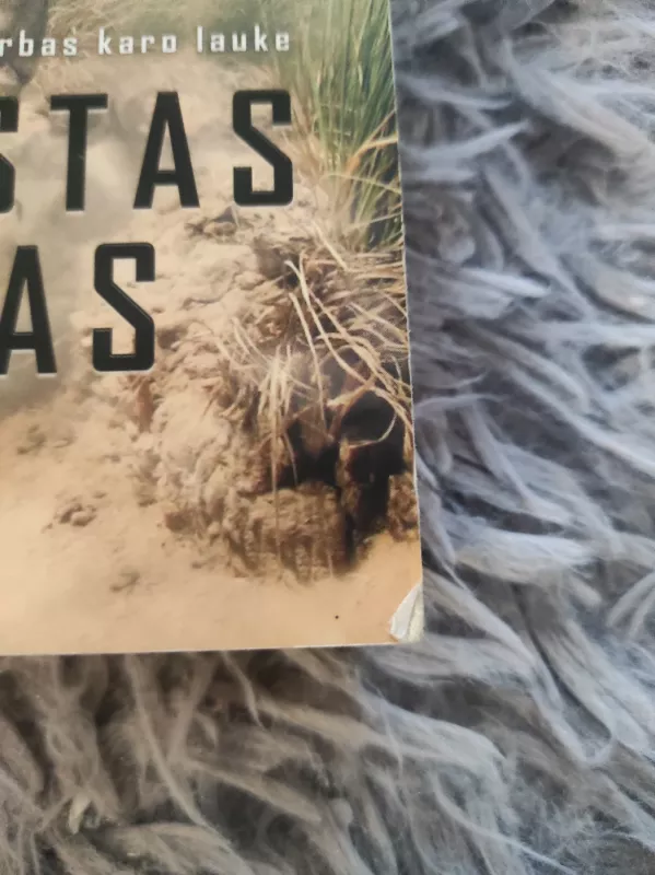 PAPRASTAS DARBAS - Autorių Kolektyvas, knyga 4