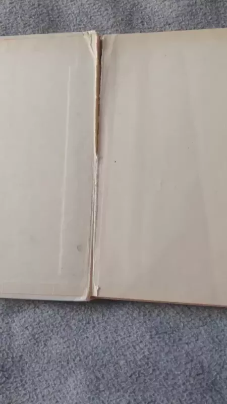 Laiškas ant šalpusnio lapo - Algirdas Pocius, knyga 4