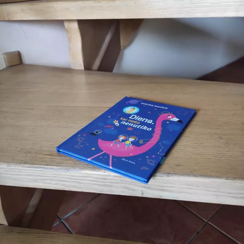 Diena, kai nieko nenutiko - Evelina Daciūtė, knyga 6