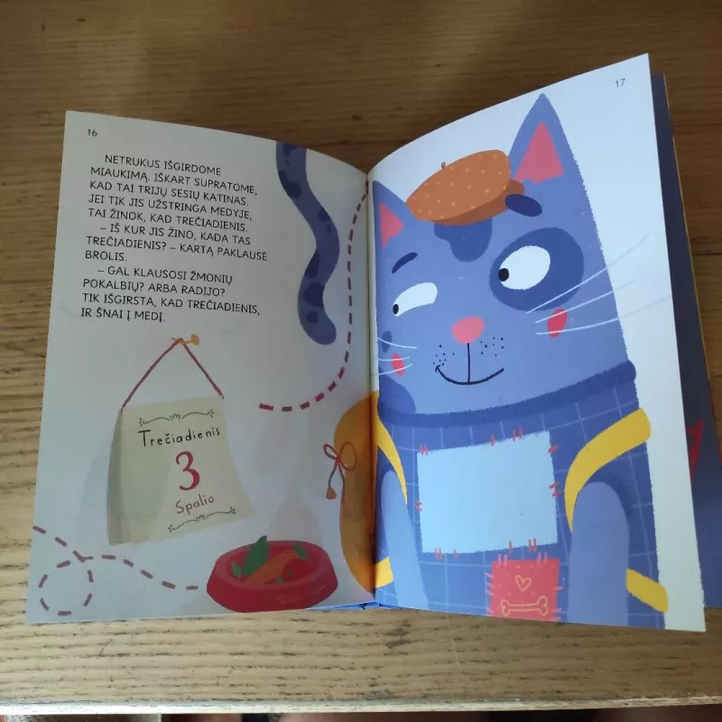 Diena, kai nieko nenutiko - Evelina Daciūtė, knyga 4