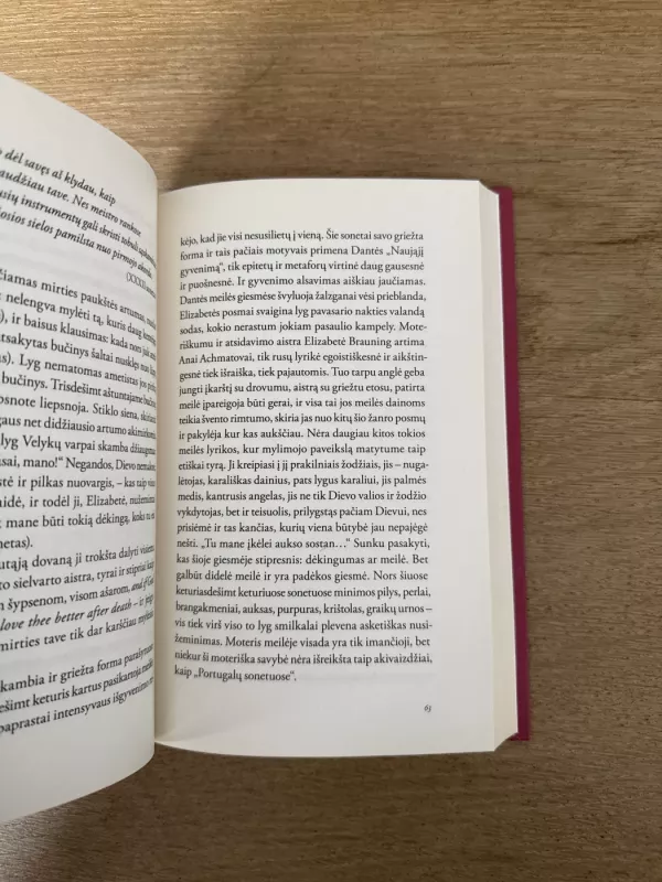 Meilės poros Zentos Maurinios akimis - Ingrida Sokolova, knyga 4