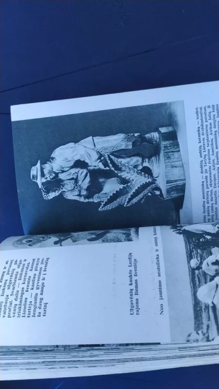 Dainų šventė 1960 - Autorių Kolektyvas, knyga 5