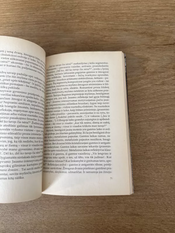 Šatrijos Raganos pasaulyje - Viktorija Daujotytė, knyga 5