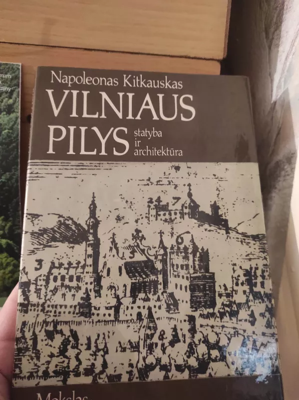 Vilniaus pilys - Napoleonas Kitkauskas, knyga 2