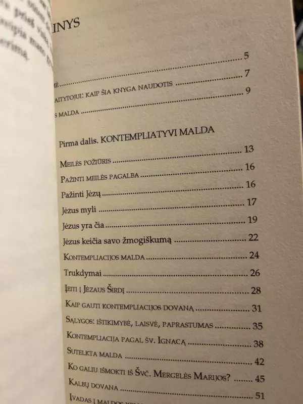 Maldos gelmėje - Robert Faricy, Luciana Pecoraio, knyga 5