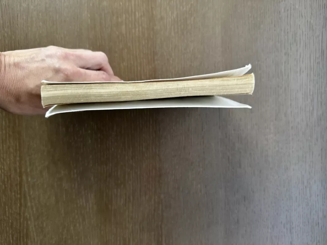 Rūkas - Stephen King, knyga 3