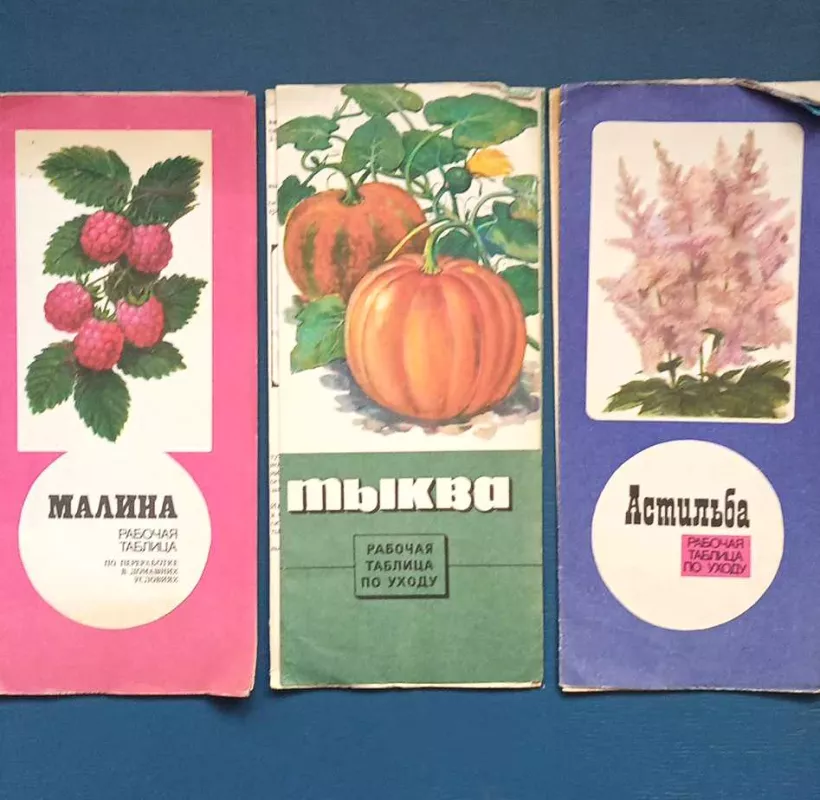 Lankstinukai sodininkams-daržininkams, 9vnt., rusų k. - Autorių Kolektyvas, knyga 4