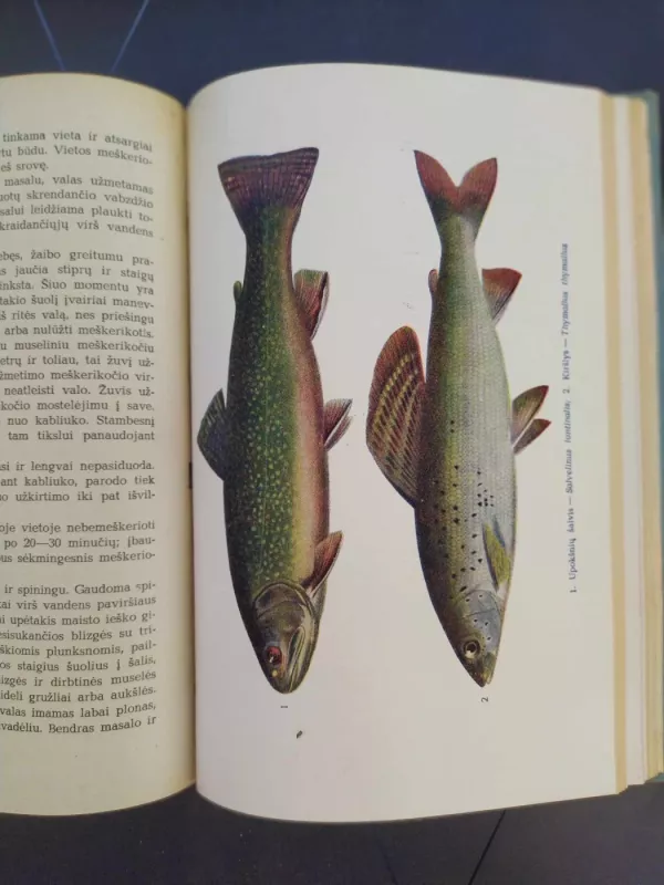 Meškeriojimas - A. Kasulaitis, knyga 4