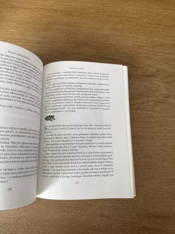 Kai vėluoja laimė - Elžbieta Skuodienė, knyga 4