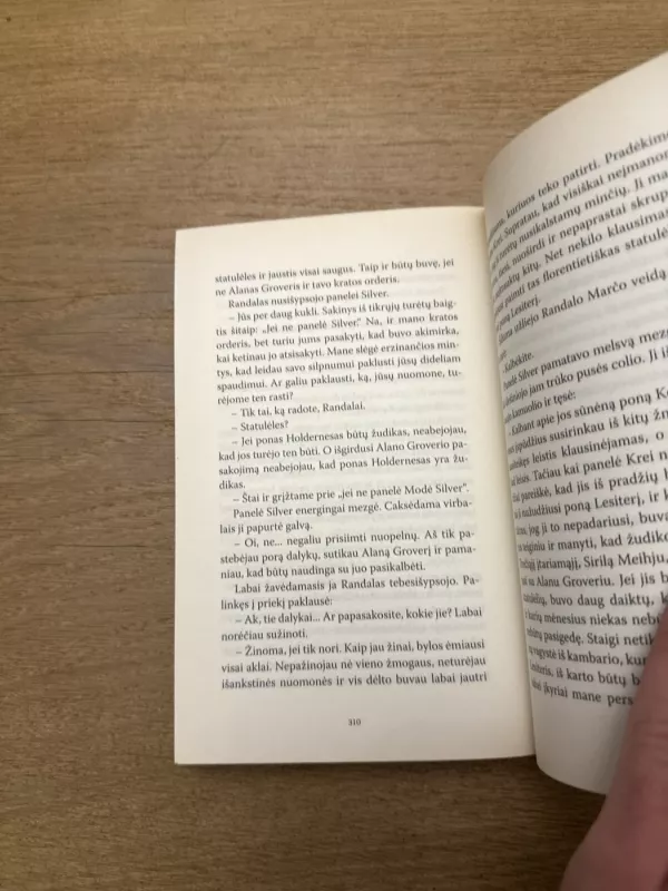 Panelės Silver viešnagė - Patricia Wentworth, knyga 6