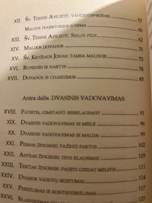 Maldos gelmėje - Robert Faricy, Luciana Pecoraio, knyga 4