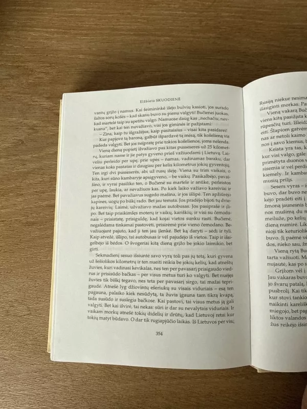 Kai vėluoja laimė - Elžbieta Skuodienė, knyga 6