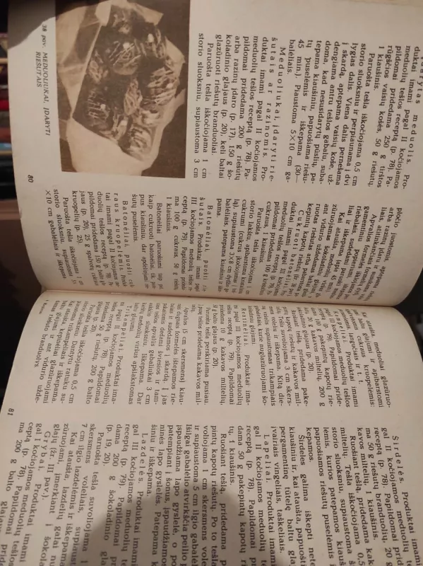 Kepiniai - E. Binkauskienė, knyga 3