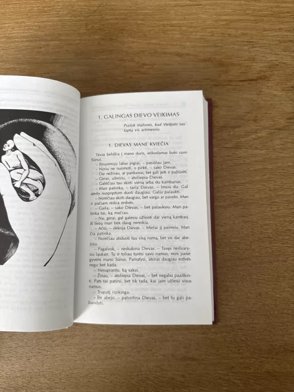 Eik į savo kambarėlį. Dvasinės pratybos kasdieniame gyvenime - Hedwig Lewis, knyga 4