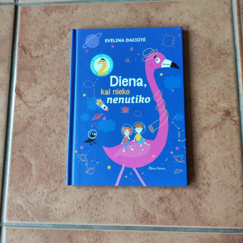 Diena, kai nieko nenutiko - Evelina Daciūtė, knyga 2