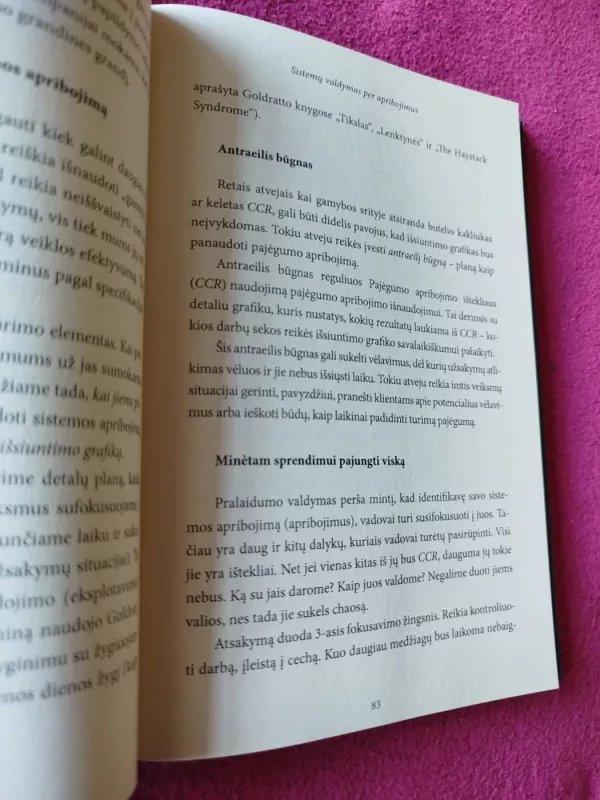 Dekalogas. Apribojimų teorija ir Gilaus pažinimo sistema - Autorių Kolektyvas, knyga 4